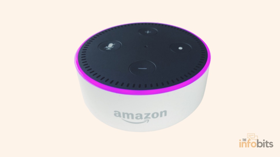 Amazon Echo Dot not responding